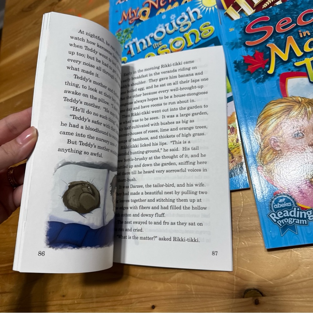 Abeka Children's Book Set 3rd grade readers 11 books - Picture 3 of 5